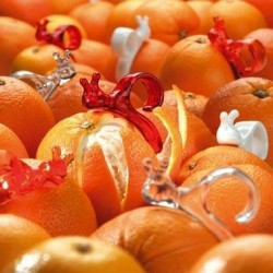 Pelador de Naranjas Manual