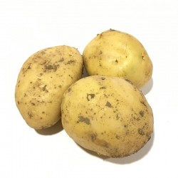 Patatas Nuevas - 5 Kg