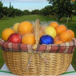 Basket Special: Oranges, 7 kg of Tangerines 3 kg -10 Kg. + Lemons 3 or