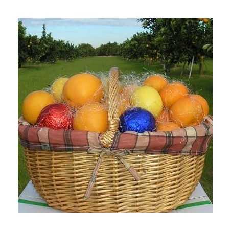 Bio-Präsentkorb: 7 kg Orangen, 3 kg Mandarinen 3 Stück Zitronen ingesamt gut 10 kg Früchte (cesta))