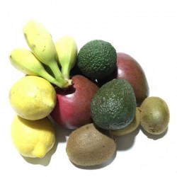 Kiwis, Mangoes, Avocado"Hass", Lemons, Bananas from the Canary islands 5 kg