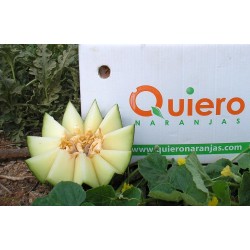 Melones Ecológicos 3-4 - 6-9 kg