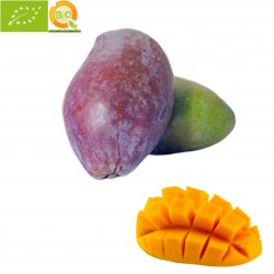 Mango Green Spain - 1 fruit (1000-1.300 g)