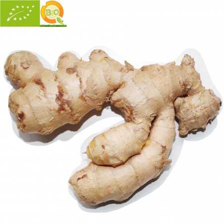 Organic Ginger root 200 g (jengibre)