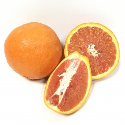 Naranja Roja (Cara Cara) 5 Kg