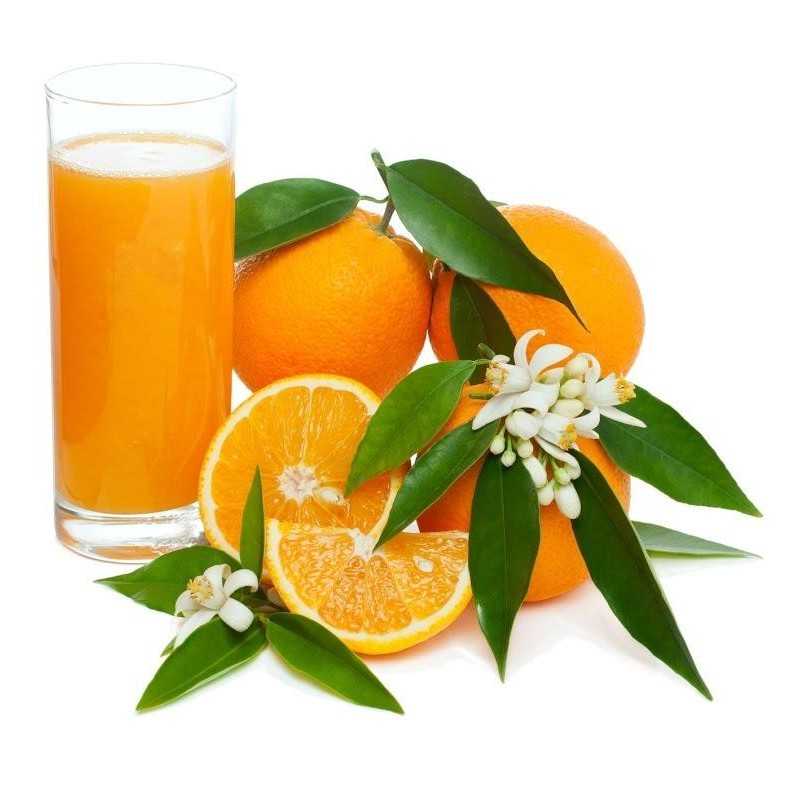 Organic Orange Juice 15 kg