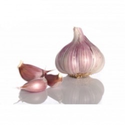 Garlic Purple (ajo morado)