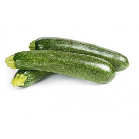 Organic Zucchini Green 950  - 1,100 g (calabacín)