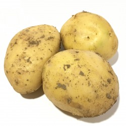 Patatas Ecológicas 5 kg