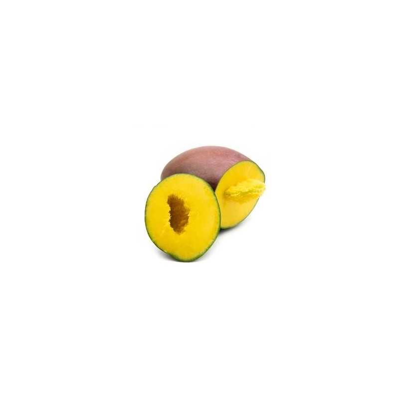 Mango Ecológico de España - 1 fruta