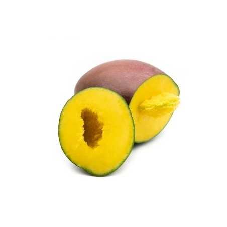 Bio-Mango aus Spanien  (1 Frucht)