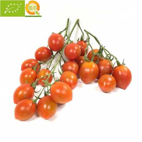 Organic Cherry Tomato 500 g