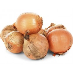 Oignon Bio 5 kg (cebolla)