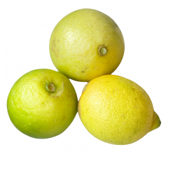Organic Lemons 20 kg
