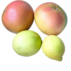 Pomelos y Limones Ecológicos 5 kg