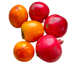 Khakis and Pomegranates - 5 Kg