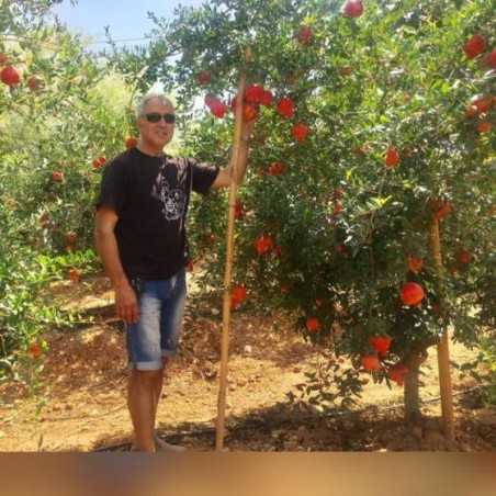 Organic Pomegranates - 15 kg (acco)