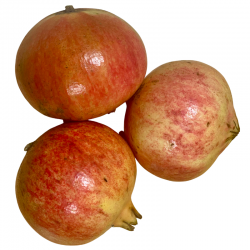 Granatäpfel (Sorte "Mollar")