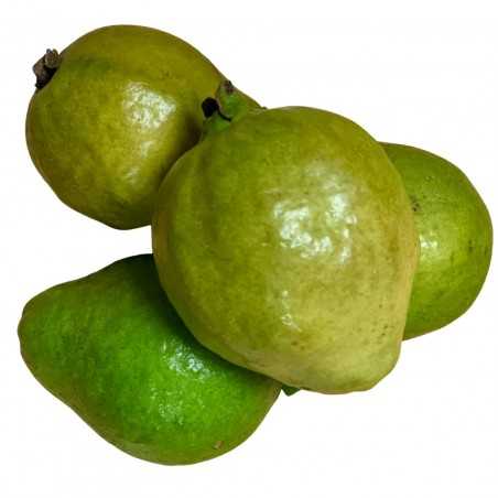 Guayabas Ecológicas 4 frutas