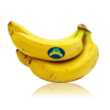 2 Frutas Ecológicas: Kakis Rojo Brillante y Plátanos - 5 kg