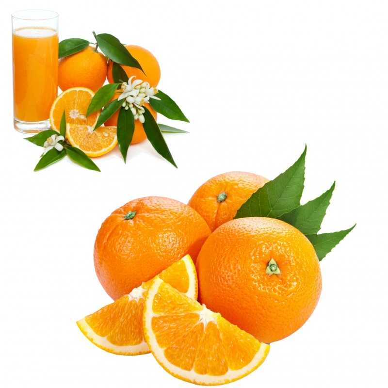 Oranges biologiques non sélectionnées, directement de l'arbre, grandes et petites 20 kg (gordas y pequeñas)