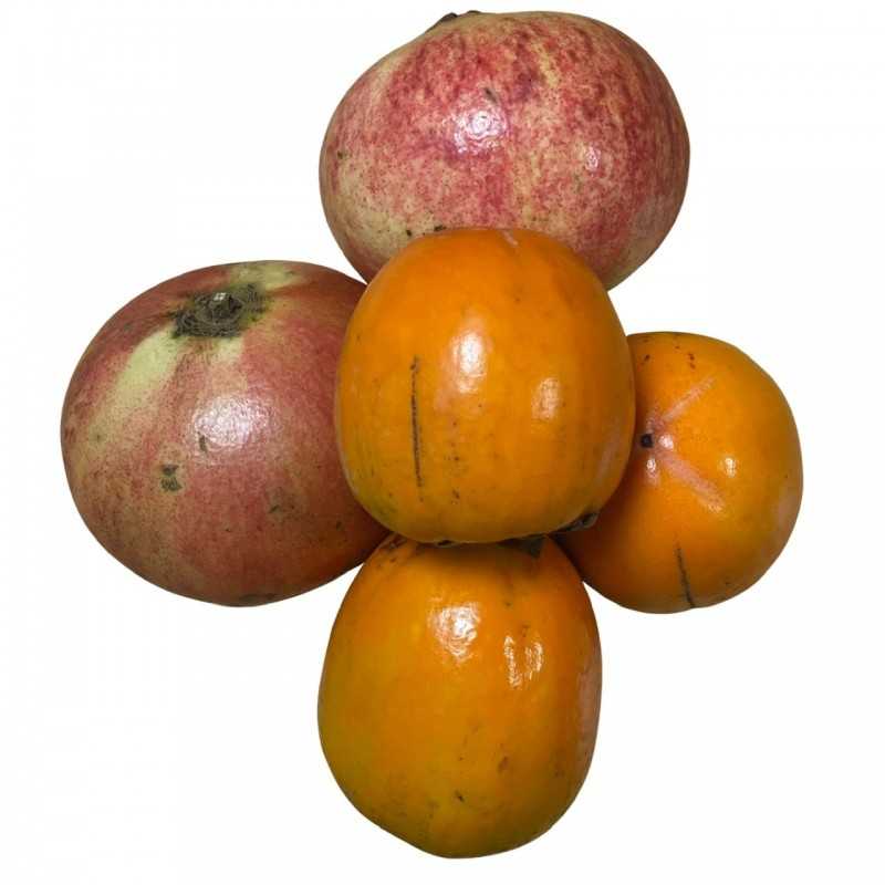 3 Fruits: Guayabas Bio 1 kg, Kakis Bio 3 kg, Grenades 1 kg biologique - 5 kg ( guayavas, kakis y granadas)