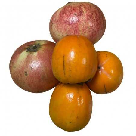 3 fruits: Organic Guayabas 1kg,  Khakis 3 kg, Pomegranates 1 kg farming - 5 Kg (kakis granadas y guayabas)