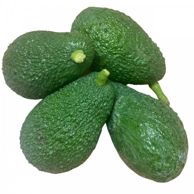 Avocados "Hass" 10 kg (from conversion to Organic Farming)