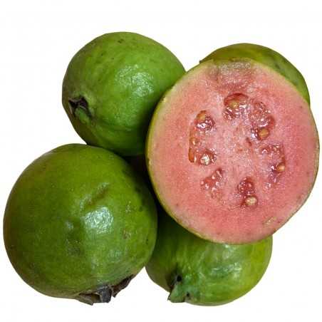 Boîte de goyaves biologiques avec 4 fruits (guayabas)