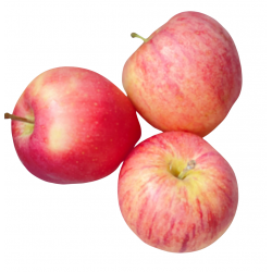 Bio-Äpfel der Sorte, Fuji 4 kg