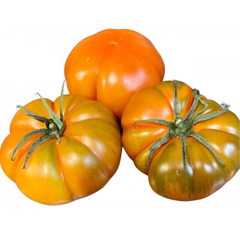 Organic Raf Tomato 4 kg