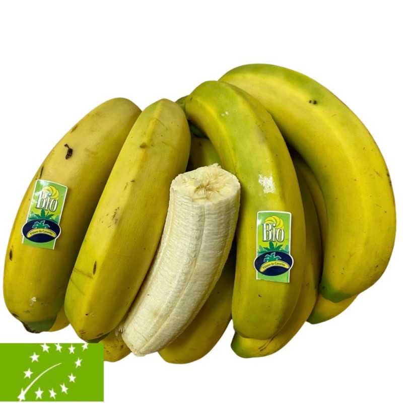 Plátanos de Canarias Bio