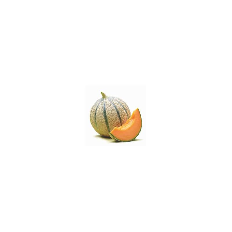 Melones (variedad cantalupo) 3-4 piezas  - (8-10 kg aprox)