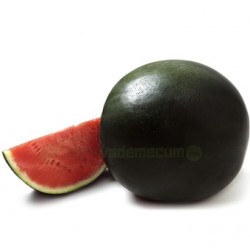 Wassermelonen, 3-4 Stück...
