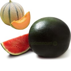 Wassermelone 1-2 Stück und...