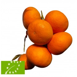 Mandarins 1 k