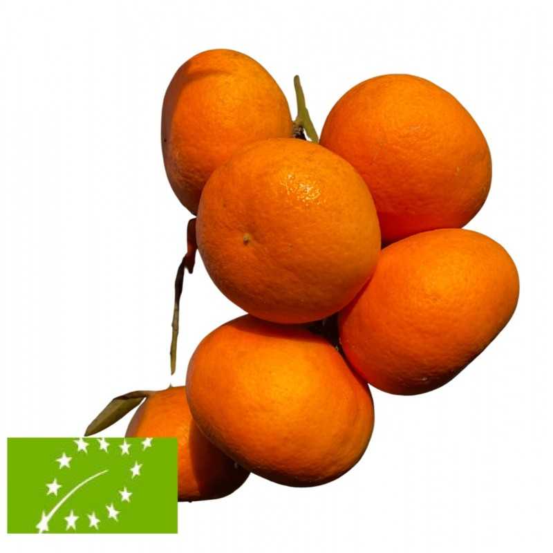 [product_name] de Valence