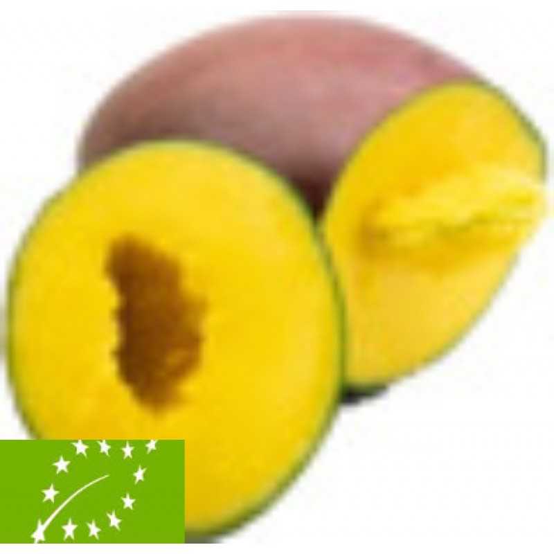 Frische [product_name]