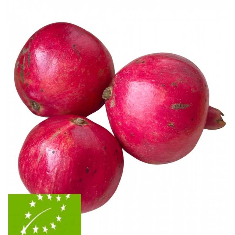 Granadas Bio