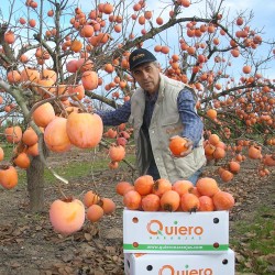 Kakis Rojo Brillante y Manzanas Fuji Ecológicas - 5 kg