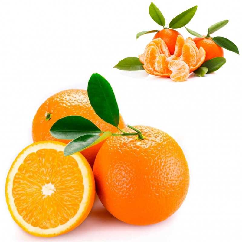 Naranjas de Mesa Ecológicas 7 kg, Mandarinas 3 kg -10 K