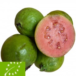 Guaven 1 kg (guayabas)