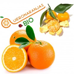 Oranges de table et Mandarines