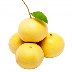 Gelbe-Grapefruits (amarillo)
