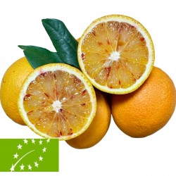 Sanguinelli Orange