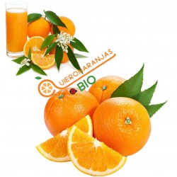 Oranges non sélectionnées,...