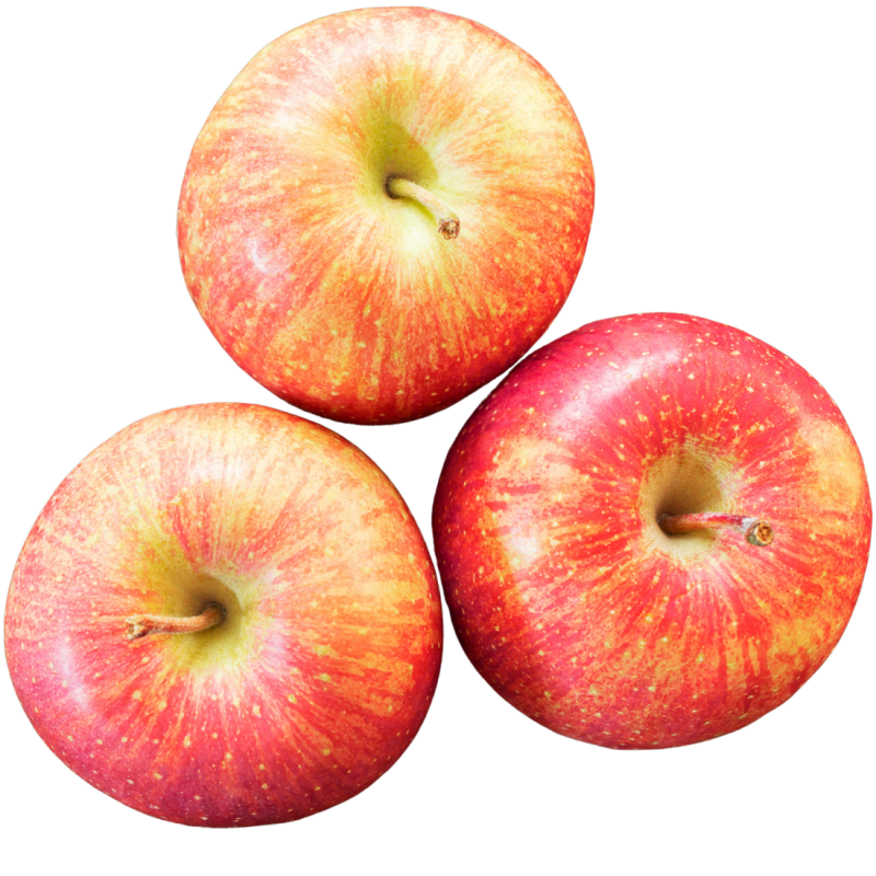 Casesnoves, Roter Familia Äpfel | Quieronaranjas, Kaufen