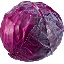 Red Cabbage Purple Green...
