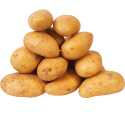 Neue Kartoffeln 5 kg