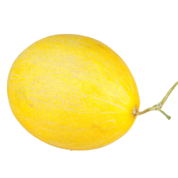 1 Melon